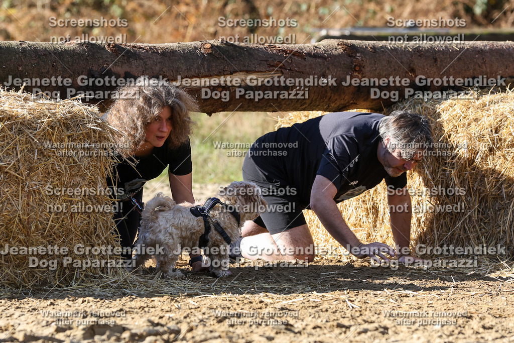 Dog Paparazzi - Strongdog 10-25-4706 | Dog Paparazzi Jeanette Grottendiek Fotografie & Videografie - Realisiert mit Pictrs.com