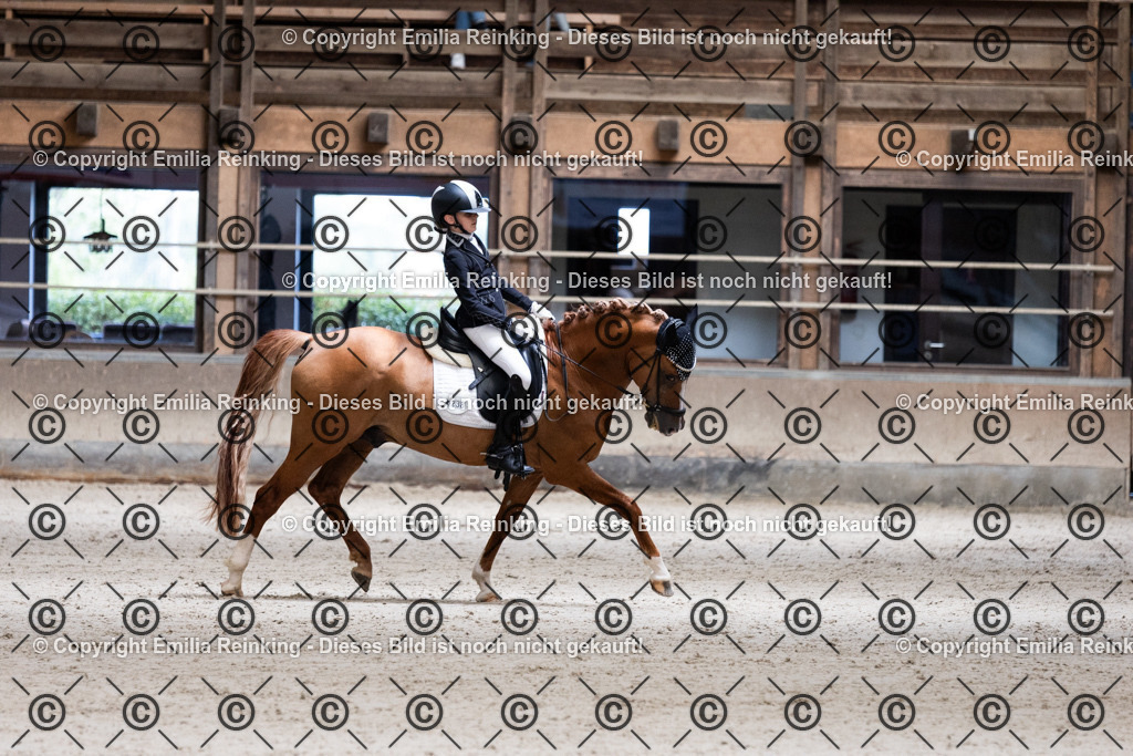 CL5A4022 | Emilia Reinking Fotografie - Realisiert mit Pictrs.com