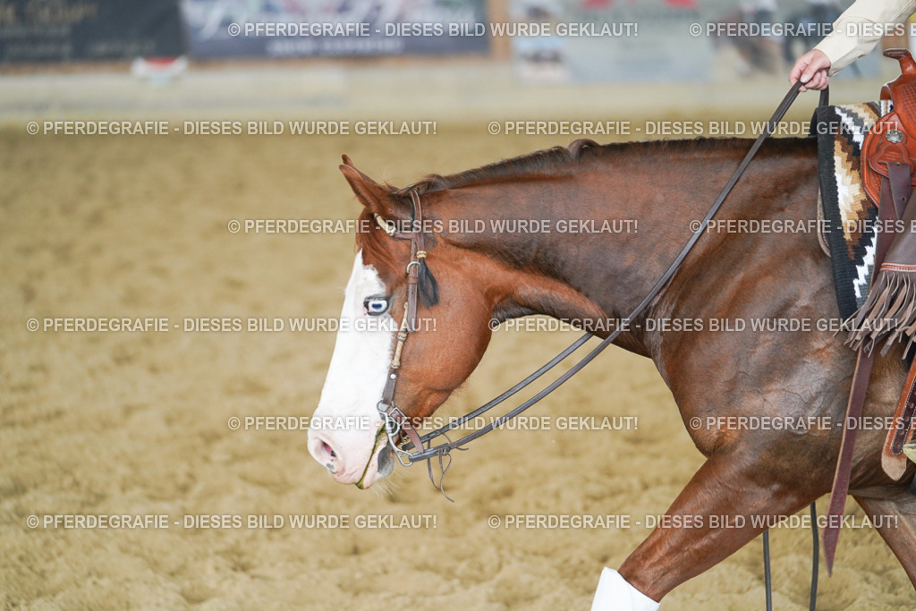 DSC06290 | Pferdegrafie