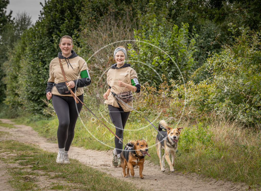 Pfotenfotografie_DV3A6050 | Hundefotografie, Tierfotograf, Pfotenfotografie, Fotoshooting Hund, Hunde Portrait, Hundesport, Hundeportraits, Heideshooting, Hunde, Sportfotograf, Hundefotograf, Turnierhundsport, THS,  - Realisiert mit Pictrs.com