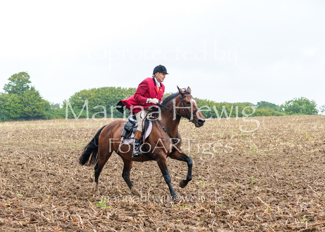 Jagd Kletkamp 26-03012_MarinaHewig | Fotografie, FotoArt, PferdesportArt, Pferdesportfotografie, Landschaftsfotografie, Reisefotografie, Reise, Pferde - Realisiert mit Pictrs.com