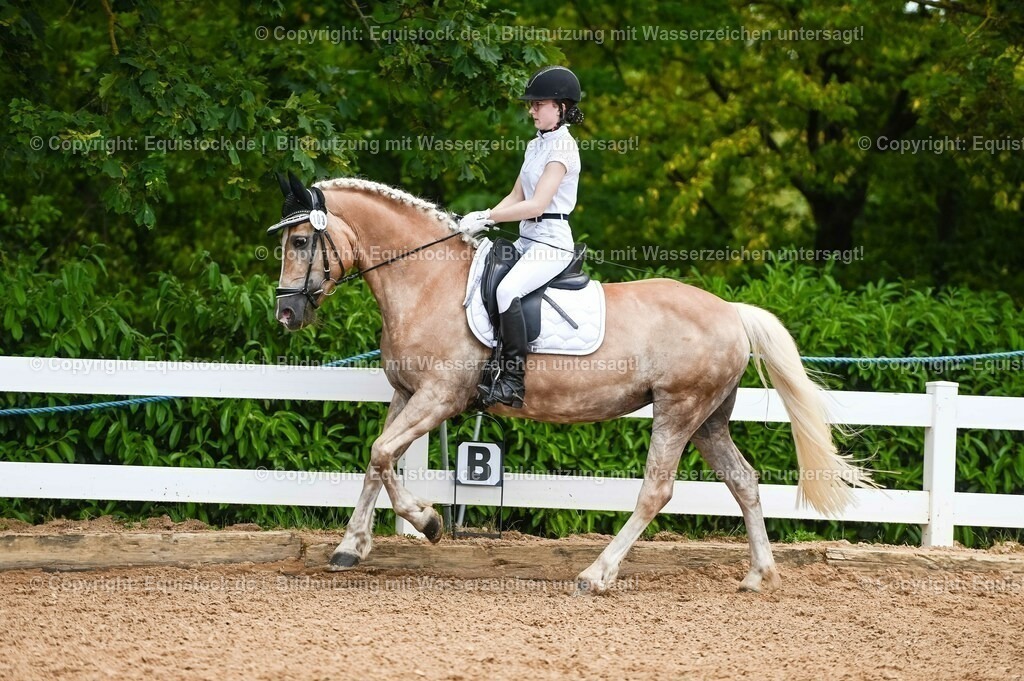 20230715_05_Dressurprüfung Kl.A++_0100 | equistock