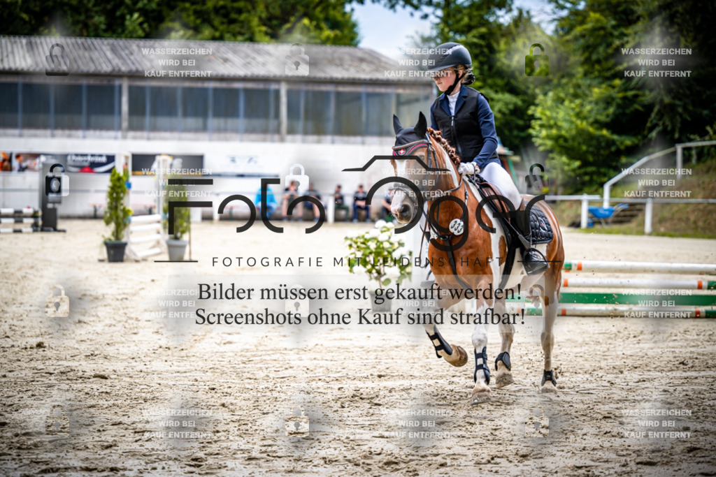 Turnier Laggenbeck 2026-15-0238 | Entdecke hochwertige Reitturnierfotos von Foto Oger. Professionell, emotional und authentisch – jetzt Lieblingsmomente im Shop bestellen.Deutschlandweite Turnierfotografie. - Realisiert mit Pictrs.com
