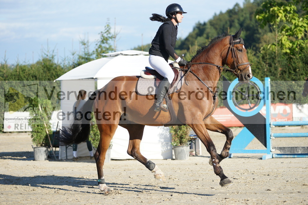 DSC09458 | equestrian-live-com