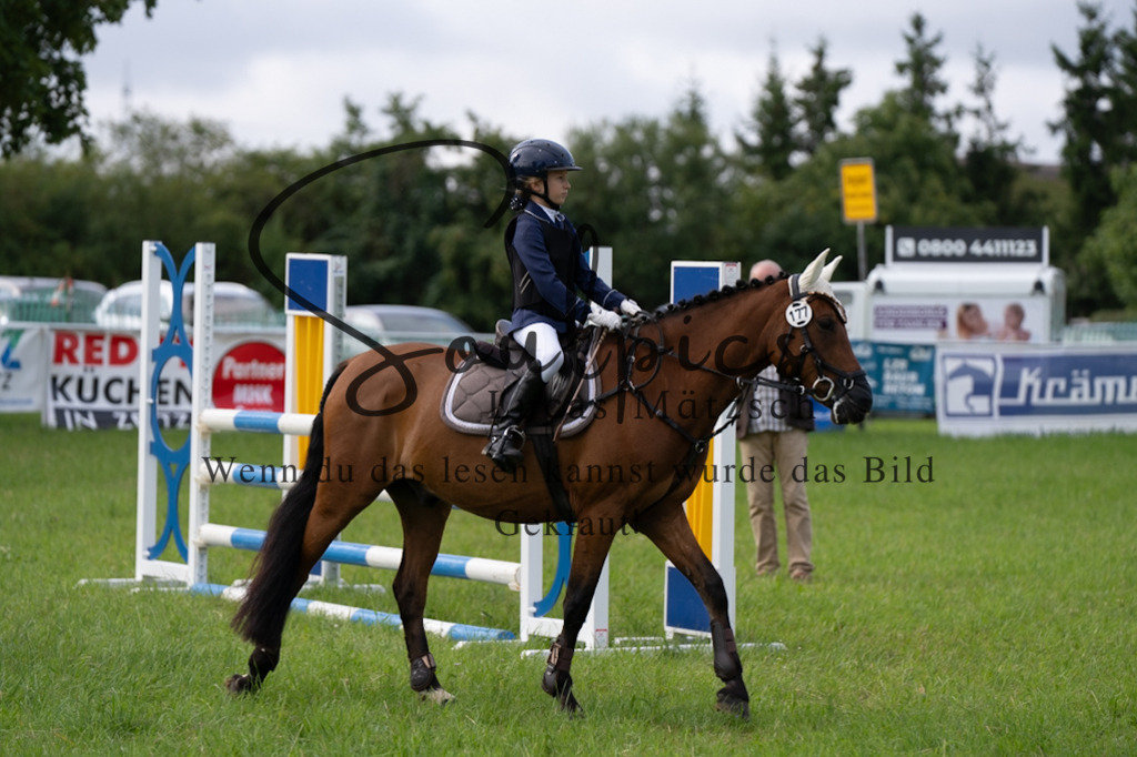 A7V03826 | Pferdefotograf