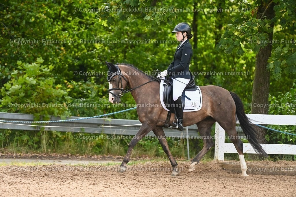 20230716_10-1_Reiter-WB Schritt - Trab - Galopp_0171 | equistock