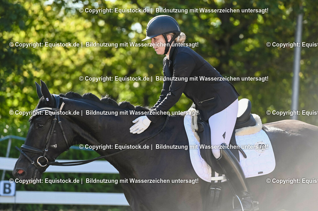 20230715_06_Dressurpferdeprfg. Kl.A_0117 | equistock