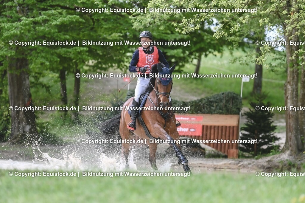 20250517_CCI2_Gelände_1994 | Foto: Thomas Hartig