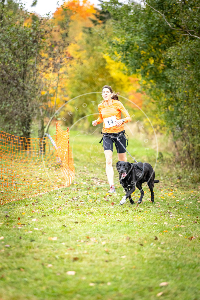 Pfotenfotografie_DV3A1829 | Hundefotografie, Tierfotograf, Pfotenfotografie, Fotoshooting Hund, Hunde Portrait, Hundesport, Hundeportraits, Heideshooting, Hunde, Sportfotograf, Hundefotograf, Turnierhundsport, THS,  - Realisiert mit Pictrs.com