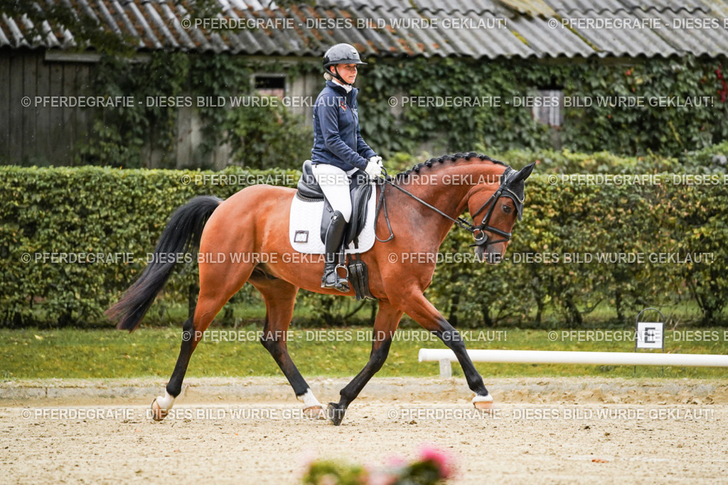 DSC06286 | Pferdegrafie