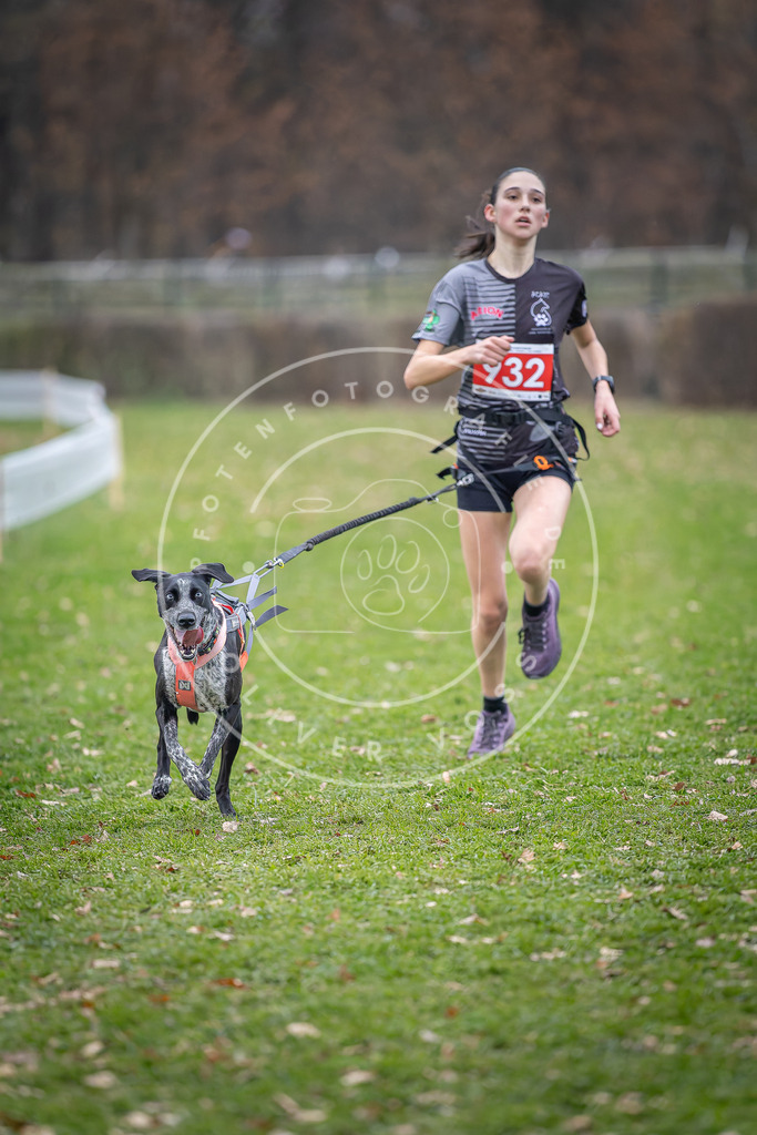 CaniXpix_DV3A7248 | Hundefotografie, Tierfotograf, Pfotenfotografie, Fotoshooting Hund, Hunde Portrait, Hundesport, Hundeportraits, Heideshooting, Hunde, Sportfotograf, Hundefotograf, Turnierhundsport, THS,  - Realisiert mit Pictrs.com