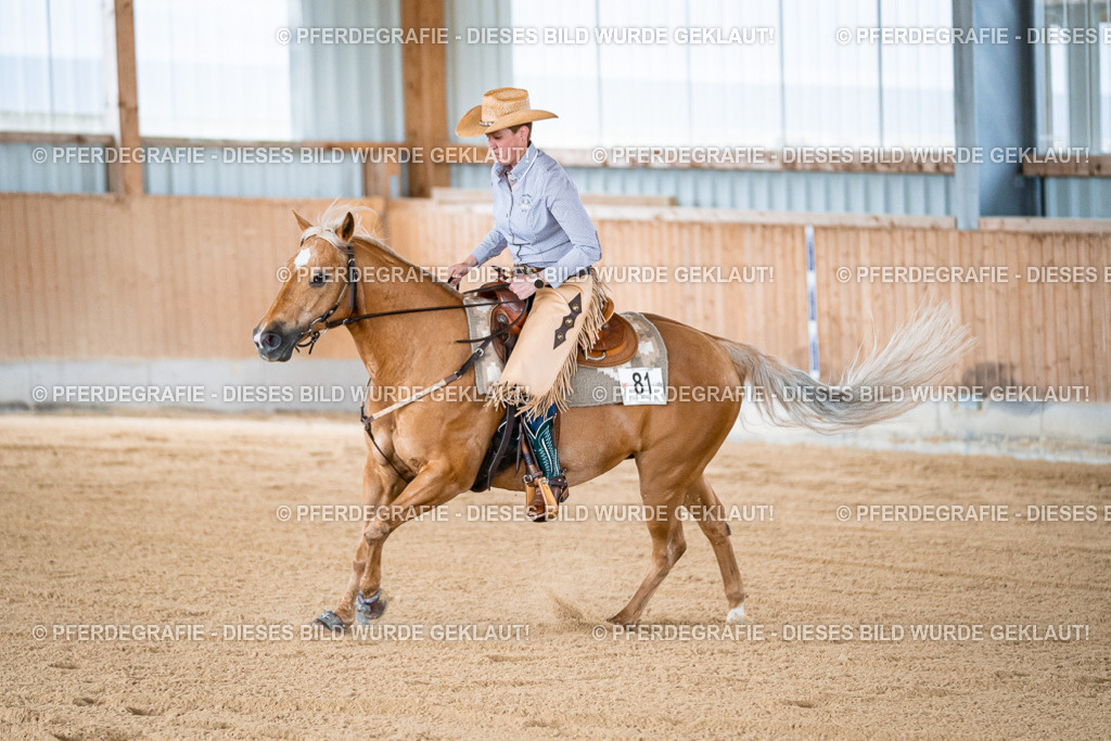 DSC08103 | Pferdegrafie