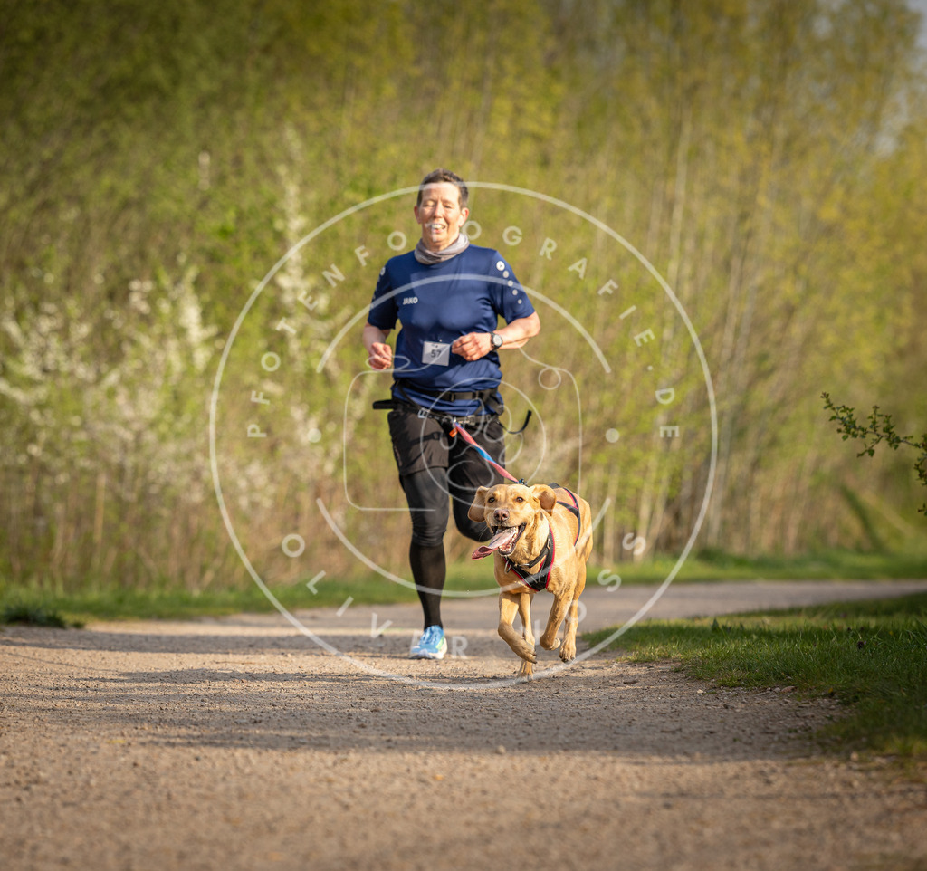 Pfotenfotografie_DV3A4669 | Hundefotografie, Tierfotograf, Pfotenfotografie, Fotoshooting Hund, Hunde Portrait, Hundesport, Hundeportraits, Heideshooting, Hunde, Sportfotograf, Hundefotograf, Turnierhundsport, THS,  - Realisiert mit Pictrs.com