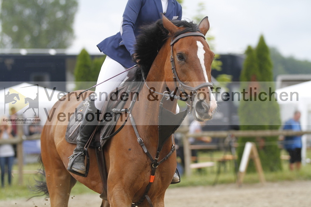 _MG_9840 | equestrian-live-com