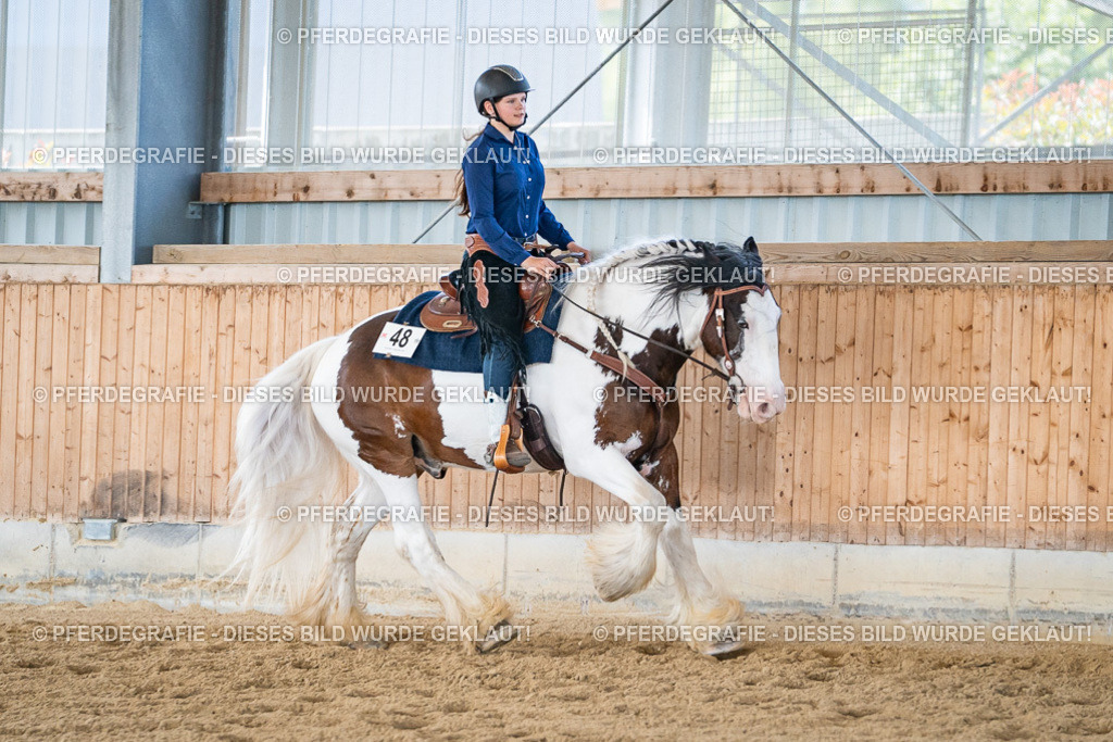 DSC03666 | Pferdegrafie