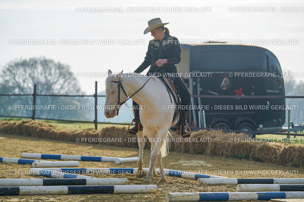 DSC00026 | Pferdegrafie