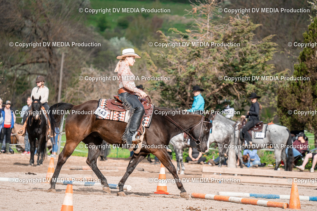 BAL02723 | dv-media-shop - Realisiert mit Pictrs.com