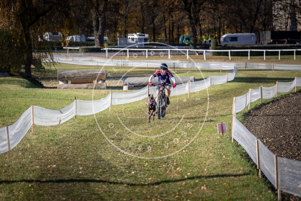 CaniXpix_DV3A4748 | Hundefotografie, Tierfotograf, Pfotenfotografie, Fotoshooting Hund, Hunde Portrait, Hundesport, Hundeportraits, Heideshooting, Hunde, Sportfotograf, Hundefotograf, Turnierhundsport, THS,  - Realisiert mit Pictrs.com
