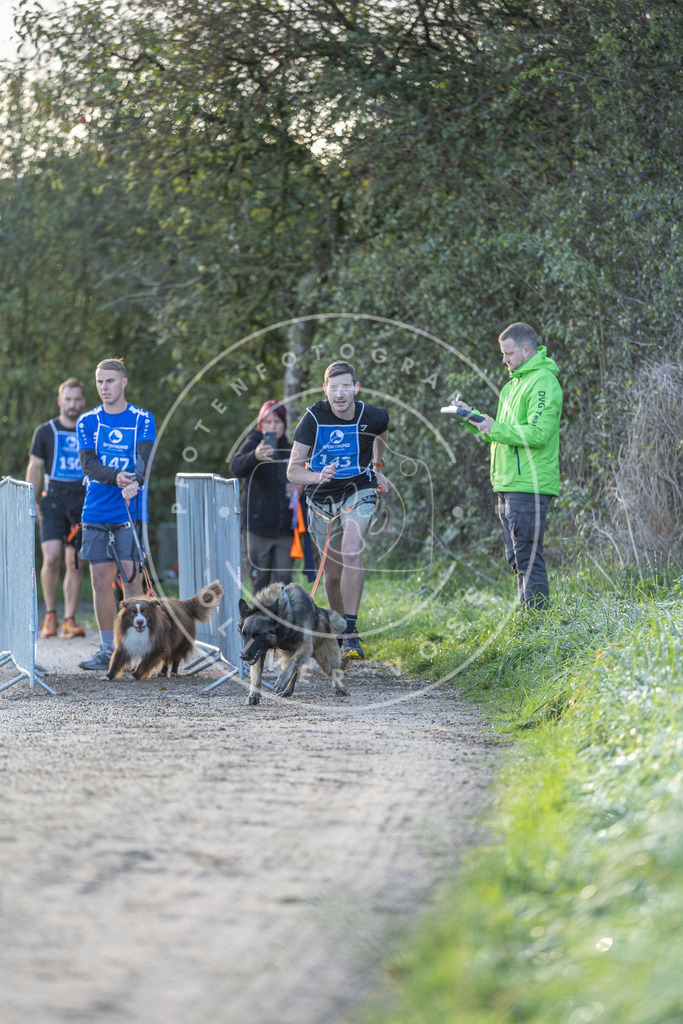 Pfotenfotografie.de_DV3A2737 | Hundefotografie, Tierfotograf, Pfotenfotografie, Fotoshooting Hund, Hunde Portrait, Hundesport, Hundeportraits, Heideshooting, Hunde, Sportfotograf, Hundefotograf, Turnierhundsport, THS, canicross - Realisiert mit Pictrs.com