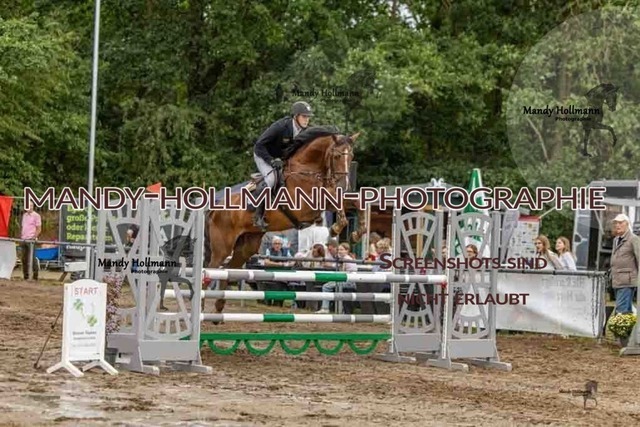 26-8-7 SPR L-253 | mandyhollmannphotographie