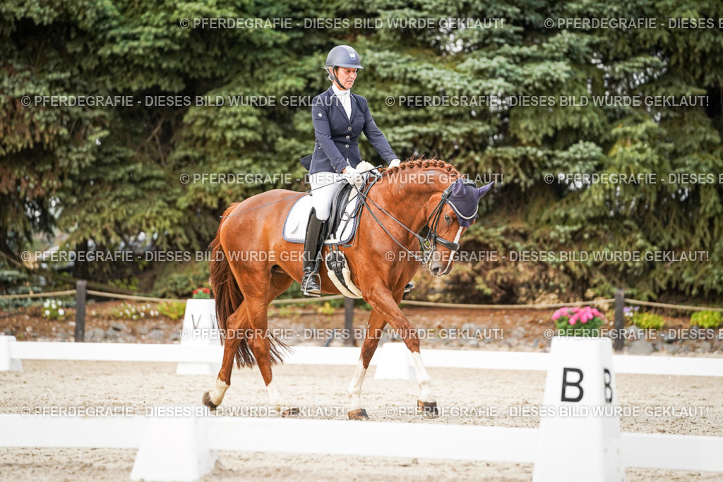 DSC09168 | Pferdegrafie