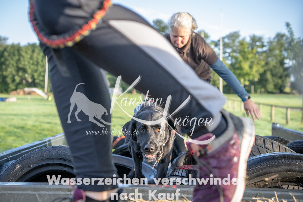0817_ZZ90813 | kk-dogfotos