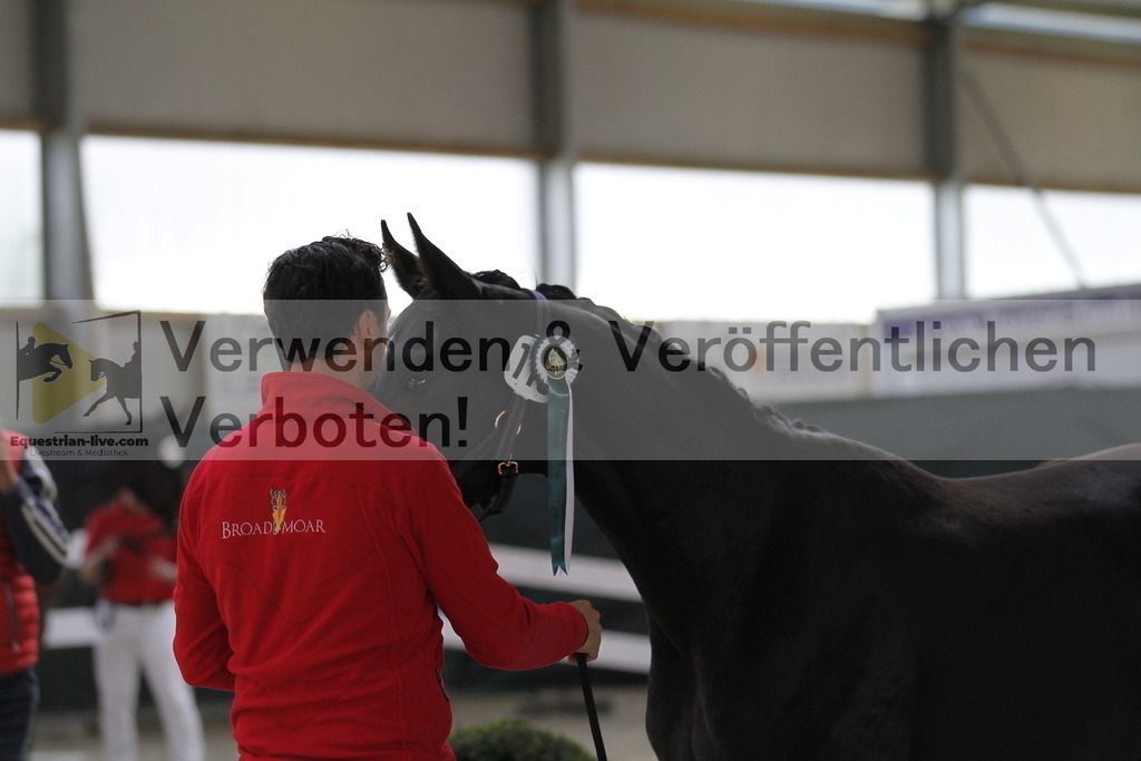 _MG_9998 | equestrian-live-com