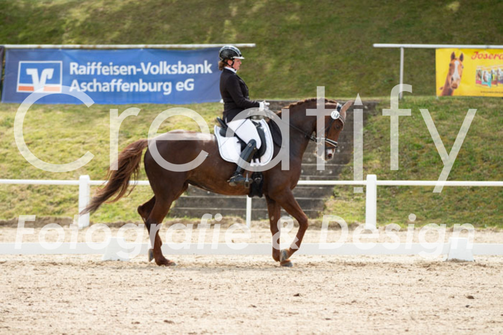 IMG_2370 | Creatify Fotografie