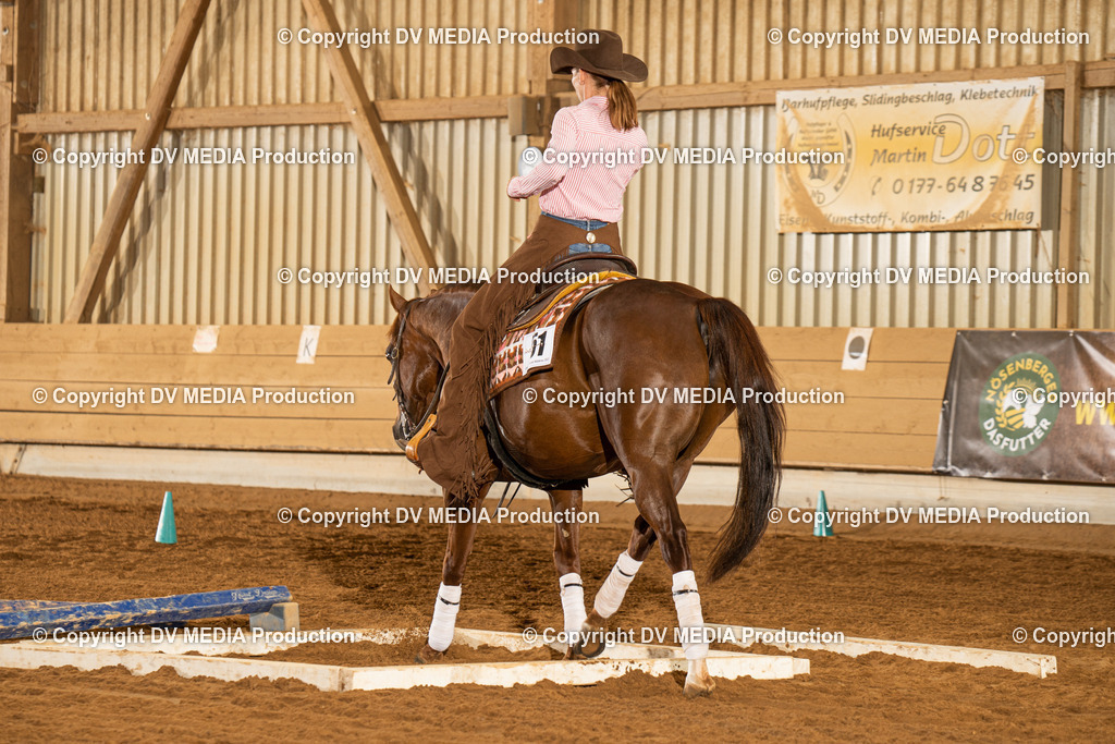 NID01250 | dv-media-shop - Realisiert mit Pictrs.com