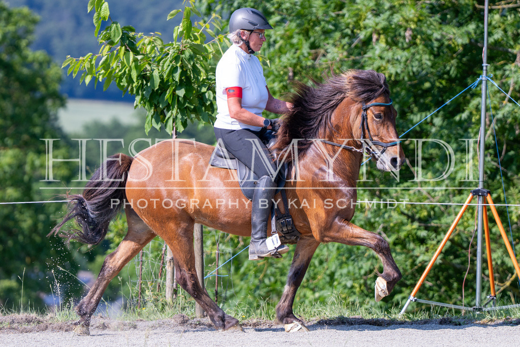 KAI06737 | Ihr sucht einen Fotografen für eure nächste OSI? Ich begleite auch euer Turnier für Islandpferde fotografisch.  - Realisiert mit Pictrs.com