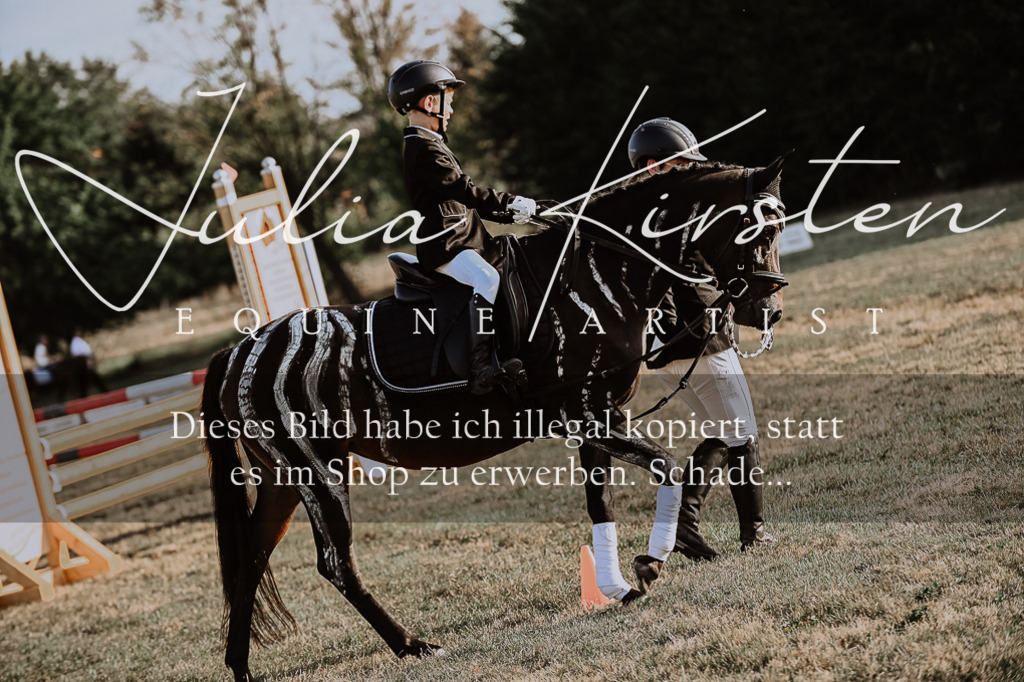 DSC_0205 | Pferde- und Turnierfotografie in Westsachsen. Pferdeportraits, Auftragszeichnungen und intuitive Kunst.