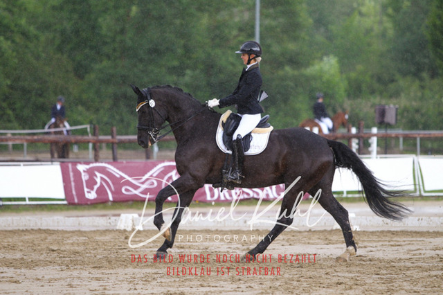 DKP40811 | Turniersportfotografie; Pferdefotografie; Dressurfotografie