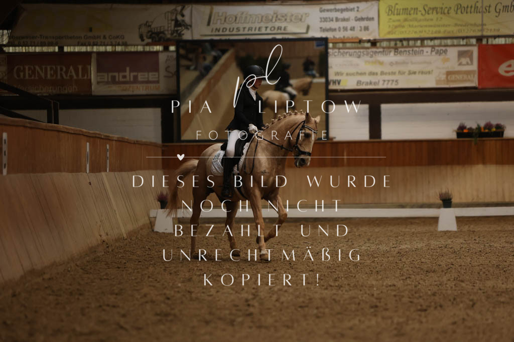 IMGM9064 | pl-fotografie