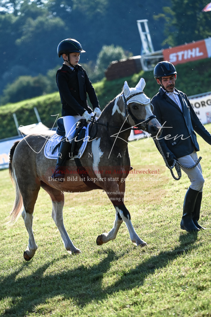DSC_0541 | Pferde- und Turnierfotografie in Westsachsen. Pferdeportraits, Auftragszeichnungen und intuitive Kunst.