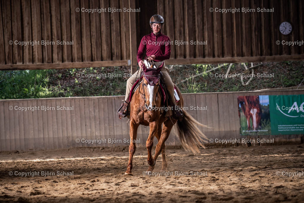 AQB08809 | BS-foto