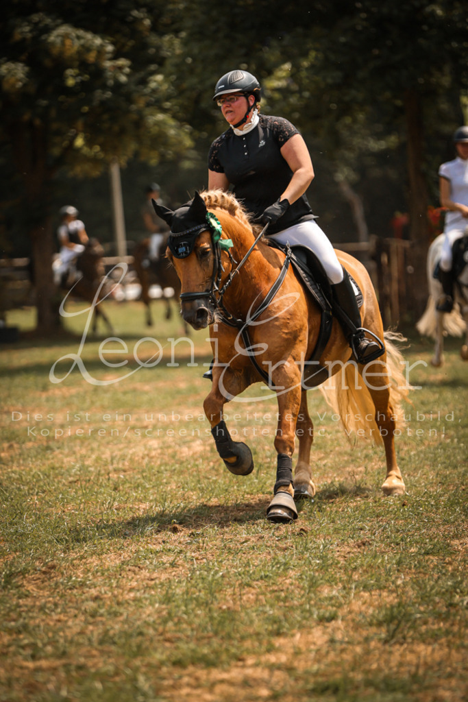 15.SaStE00525 | Leoni Ertmer Photography - Realisiert mit Pictrs.com