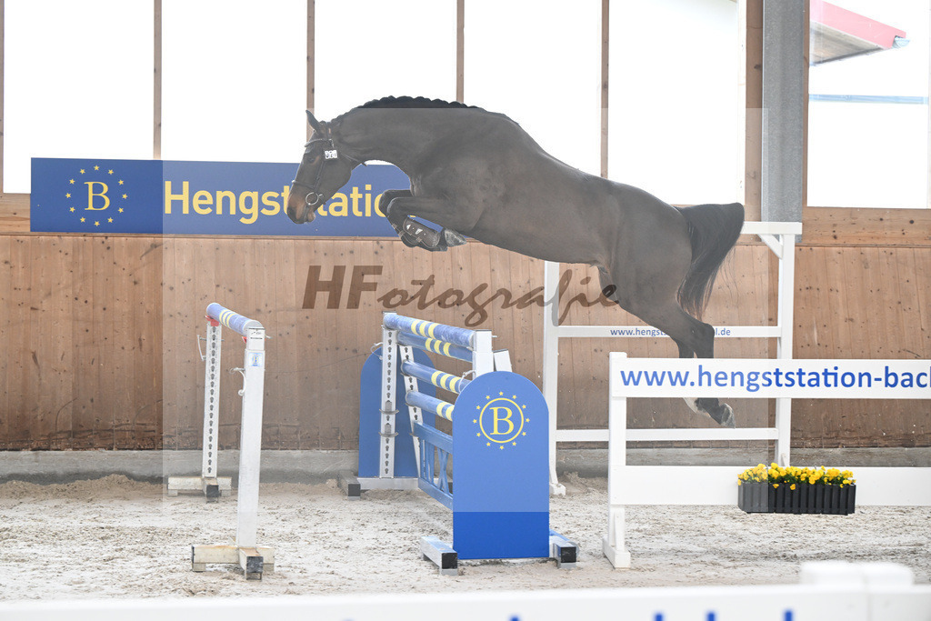 Kat-Nr. 21 Courchevel B v. Cizero Z_Bachl_14260452 | hf-fotografie - Realizzato con Pictrs.com