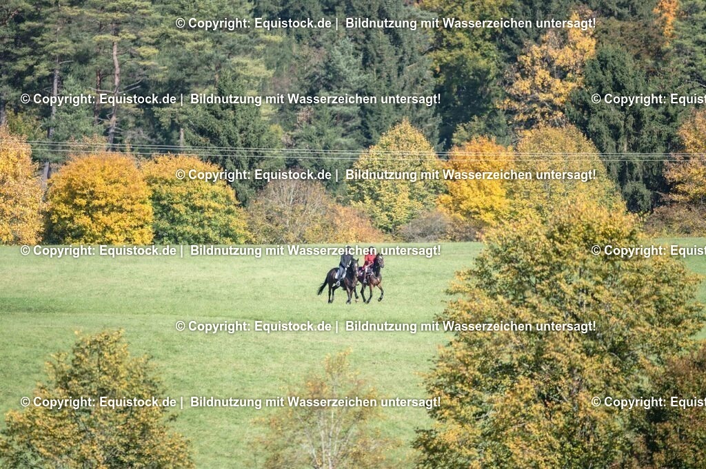 20251011_Jagd-Marbach_0325 | Foto: Thomas Hartig