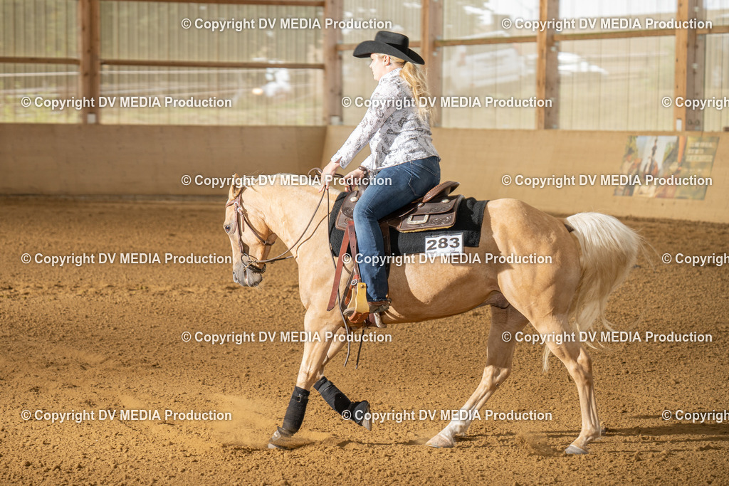 LAU01730 | dv-media-shop - Realisiert mit Pictrs.com