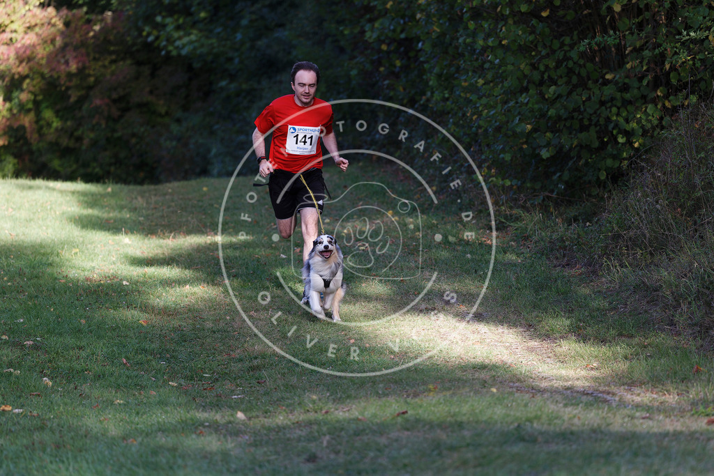 0L8A5101 | Hundefotografie, Tierfotograf, Pfotenfotografie, Fotoshooting Hund, Hunde Portrait, Hundesport, Hundeportraits, Heideshooting, Hunde, Sportfotograf, Hundefotograf, Turnierhundsport, THS,  - Realisiert mit Pictrs.com