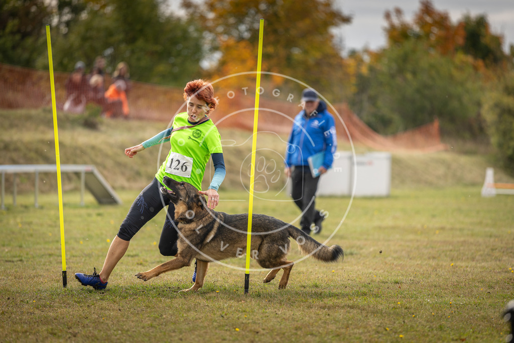 Pfotenfotografie_DV3A7002 | Hundefotografie, Tierfotograf, Pfotenfotografie, Fotoshooting Hund, Hunde Portrait, Hundesport, Hundeportraits, Heideshooting, Hunde, Sportfotograf, Hundefotograf, Turnierhundsport, THS,  - Realisiert mit Pictrs.com