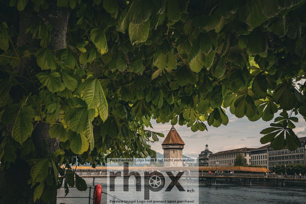 Kapellbrücke durch das Blätterdach / Chapel Bridge through the Canopy | Natur. Rahmen. Wahrzeichen.Ein einzigartiger Blick auf das Luzerner Wahrzeichen, sanft umrahmt von einem dichten Blätterdach des Kastanienbaums. Die Verbindung aus lebendigem Grün und historischer Architektur verleiht der berühmten Holzbrücke eine besonders intime und idyllische Atmosphäre.Wähle unter "Produktauswahl" dein Wunschformat: Vom klassischen Wandbild über Puzzle &amp; Tassen bis zum digitalen Download (z.B. als Handy-Hintergrund).Nature. Frame. Landmark.A unique perspective of Lucerne's landmark, gently framed by a dense canopy of chestnut leaves. The blend of vibrant greenery and historic architecture lends the famous wooden bridge a particularly intimate and idyllic atmosphere.Choose your preferred format under "Product Selection": From classic Wall Art to Puzzles &amp; Mugs, or a digital Download (e.g. for mobile wallpapers). - Realisiert mit Pictrs.com