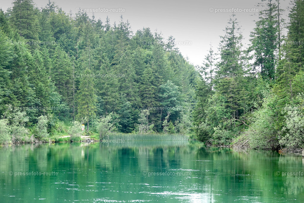 welltvi-2019-Juli09--Stuibenfaelle-Planseeabfluss-Reutte-DSD03364 | Info aus dem Bezirk Reutte/Ausserfern Tirol sowie eine umfangreiche Bilddatenbank über die gesamte Region: Lechtal, Talkessel Reutte, Tannheimertal, Zwischentoren. Lech, Plansee, Zugspitze, Grenztunnel, B179, Fernpassstraße, Verkehr, Lawinen, Tradition, - Realisiert mit Pictrs.com