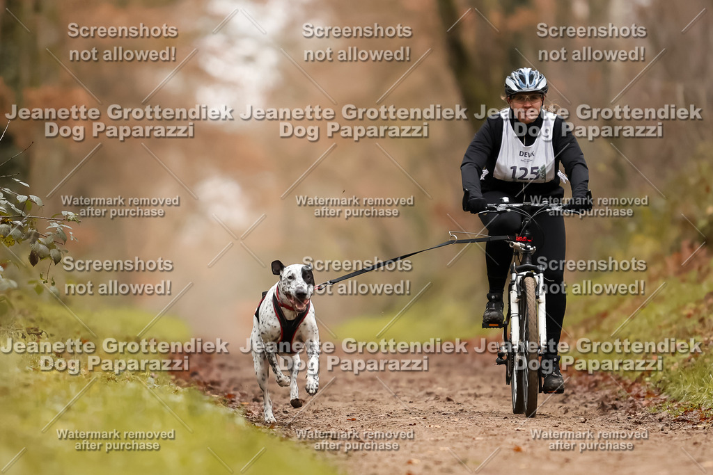Dog Paparazzi - Speedhunter Mannheim  2025-348 | Dog Paparazzi Jeanette Grottendiek Fotografie & Videografie