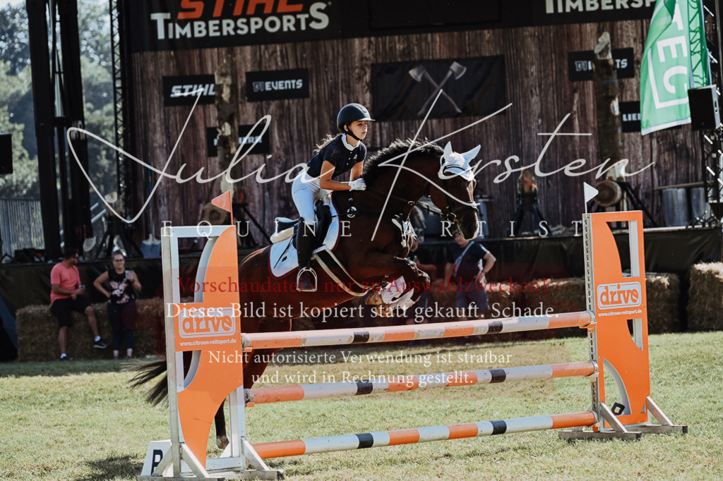 DSC_5854 | Pferde- und Turnierfotografie in Westsachsen. Pferdeportraits, Auftragszeichnungen und intuitive Kunst.