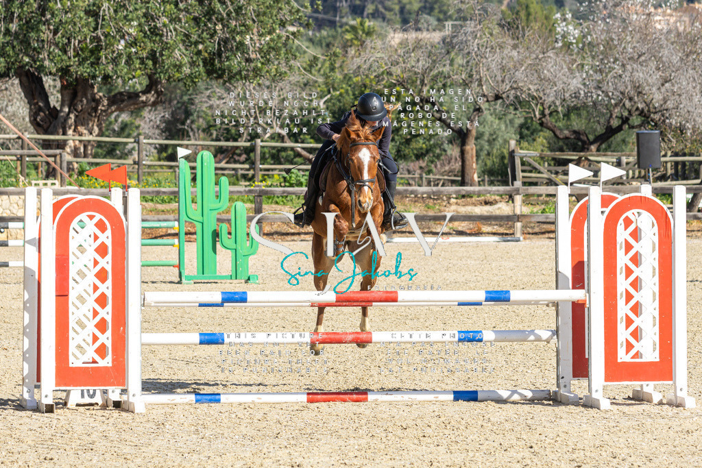 IMG_3943 | s-jay-photography - Realisiert mit Pictrs.com