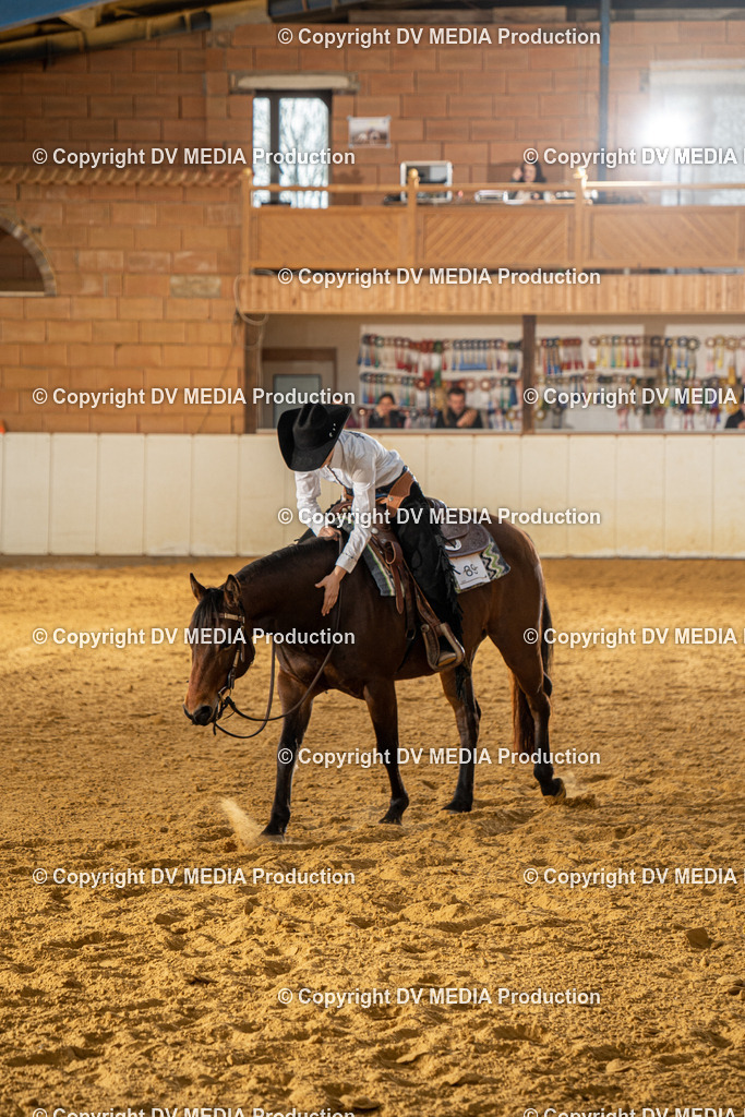 MIT00773 | dv-media-shop - Realisiert mit Pictrs.com