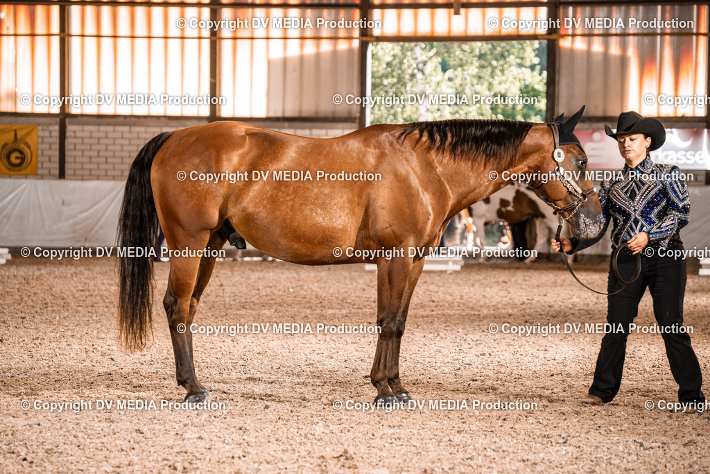 ZH100011 | dv-media-shop - Realisiert mit Pictrs.com