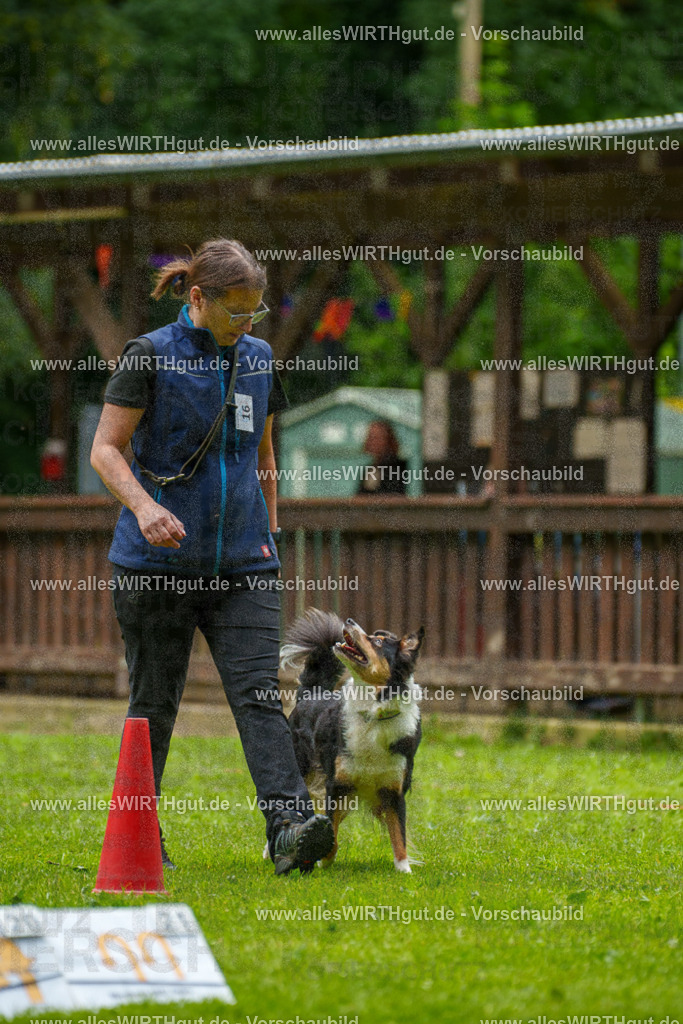 @allesWIRTHgut_Tierfotografie - www.allesWIRTHgut.de - 091843-7R506922 | Professionelle Tierfotografie in Mönchengladbach von Daniel Wirth (allesWIRTHgut). Liebevolle & natürliche Bilder von Hunden & Katzen für unvergessliche Erinnerungen.