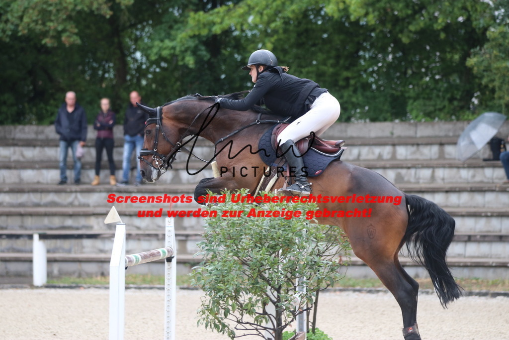 IMG_8462 | lmwpictures - Realisiert mit Pictrs.com